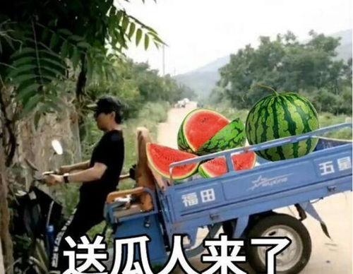 最近大瓜事件,揭秘明星隐私风波背后的真相-第1张图片-同人3d动漫 最近大瓜事件,揭秘明星隐私风波背后的真相-第1张图片-同人3d动漫