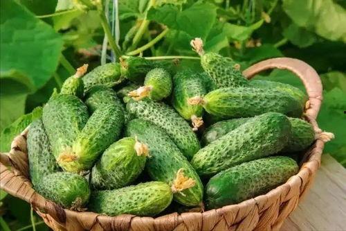 最近大瓜事件,揭秘明星隐私风波背后的真相-第2张图片-同人3d动漫 最近大瓜事件,揭秘明星隐私风波背后的真相-第2张图片-同人3d动漫