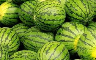 吃瓜网官网免费观看 吃瓜网官网,免费观看,畅享娱乐盛宴-第2张图片-同人3d动漫 吃瓜网官网免费观看 吃瓜网官网,免费观看,畅享娱乐盛宴-第2张图片-同人3d动漫