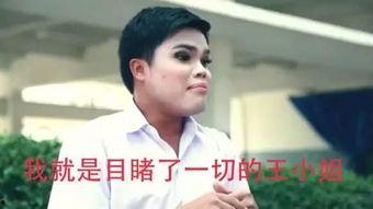 什么叫成人故事啊视频,视频中的现实与幻想交织-第1张图片-同人3d动漫