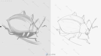 成人素描绘画视频素材,跟随视频素材提升成人绘画水平-第3张图片-同人3d动漫 成人素描绘画视频素材,跟随视频素材提升成人绘画水平-第3张图片-同人3d动漫