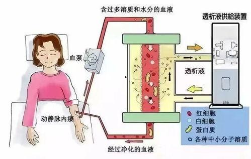 成人脱水处理方法视频,视频教程详解-第2张图片-同人3d动漫