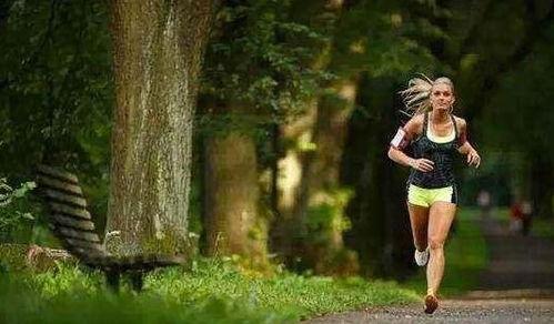 室内成人跑步游戏视频,体验虚拟健身新潮流-第1张图片-同人3d动漫 室内成人跑步游戏视频,体验虚拟健身新潮流-第1张图片-同人3d动漫