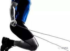 成人健身 跳绳视频教程,跟跳绳视频教程一起打造健康体魄-第1张图片-同人3d动漫 成人健身 跳绳视频教程,跟跳绳视频教程一起打造健康体魄-第1张图片-同人3d动漫