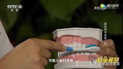 换牙视频成人推荐网站-第2张图片-同人3d动漫 换牙视频成人推荐网站-第2张图片-同人3d动漫