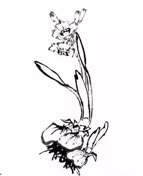 毛笔画花朵成人教程视频,从入门到精通的实用指南-第2张图片-同人3d动漫 毛笔画花朵成人教程视频,从入门到精通的实用指南-第2张图片-同人3d动漫