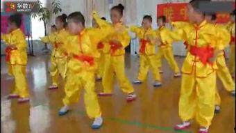 成人舞蹈功夫视频教学,成人舞蹈视频教程深度解析-第1张图片-同人3d动漫 成人舞蹈功夫视频教学,成人舞蹈视频教程深度解析-第1张图片-同人3d动漫