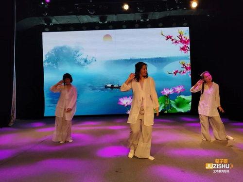 成人学舞蹈跟练视频,轻松入门成人舞蹈学习之旅-第3张图片-同人3d动漫