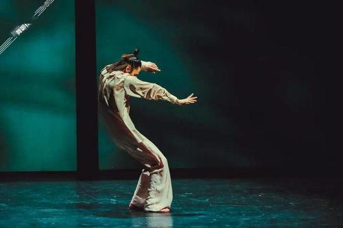 成人舞蹈丹顶鹤服装视频,成人舞蹈服装演绎自然之美-第3张图片-同人3d动漫