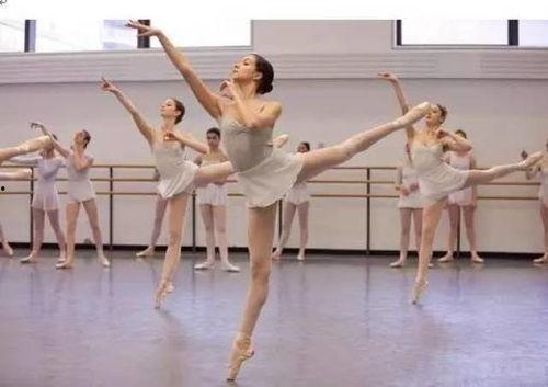 成人海底生物舞蹈视频,探寻神秘海底生物共舞之谜-第3张图片-同人3d动漫 成人海底生物舞蹈视频,探寻神秘海底生物共舞之谜-第3张图片-同人3d动漫