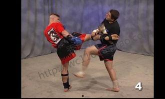 散打护腿成人泰拳视频教学-第1张图片-同人3d动漫 散打护腿成人泰拳视频教学-第1张图片-同人3d动漫