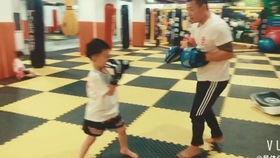 搏击成人团体教学视频,高效实战技巧解析-第2张图片-同人3d动漫