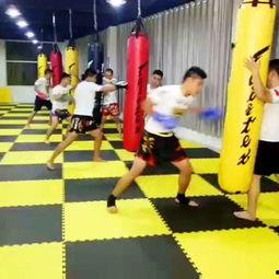 搏击成人团体教学视频,高效实战技巧解析-第3张图片-同人3d动漫