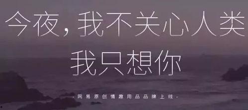 成人心灵文案视频下载-第1张图片-同人3d动漫