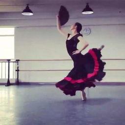 成人最快学的舞蹈视频-第2张图片-同人3d动漫