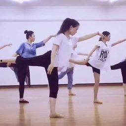 舞蹈成人班预热视频大全-第1张图片-同人3d动漫