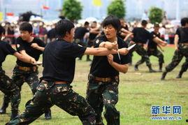 成人格斗擒拿视频大全,成人格斗擒拿技巧视频大全-第1张图片-同人3d动漫