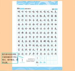 钢笔成人硬笔怎么练视频,视频教学概述-第2张图片-同人3d动漫