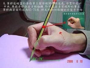 成人抓笔姿势图解视频,轻松掌握书写技巧-第1张图片-同人3d动漫